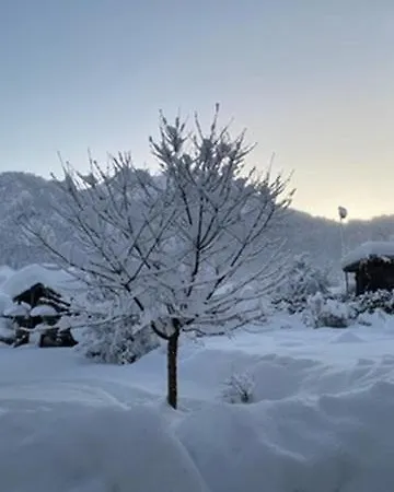 Haus Oyben Appartamento *