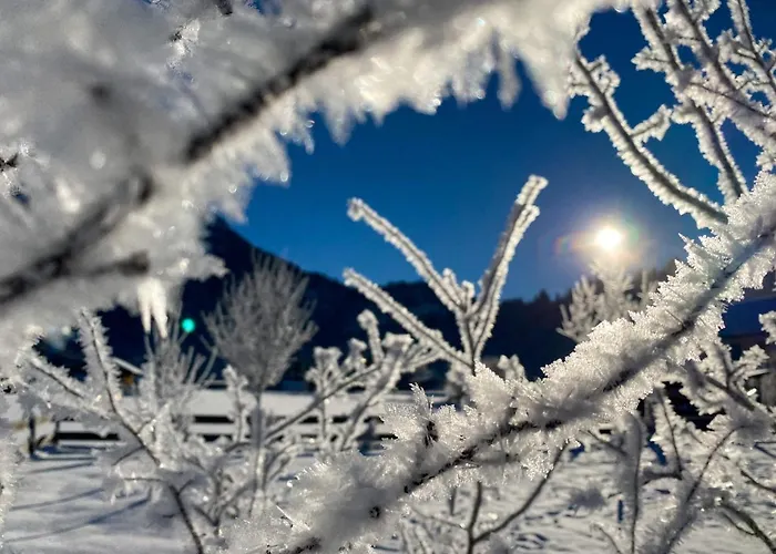 Haus Oyben Lejlighed Bad Hindelang