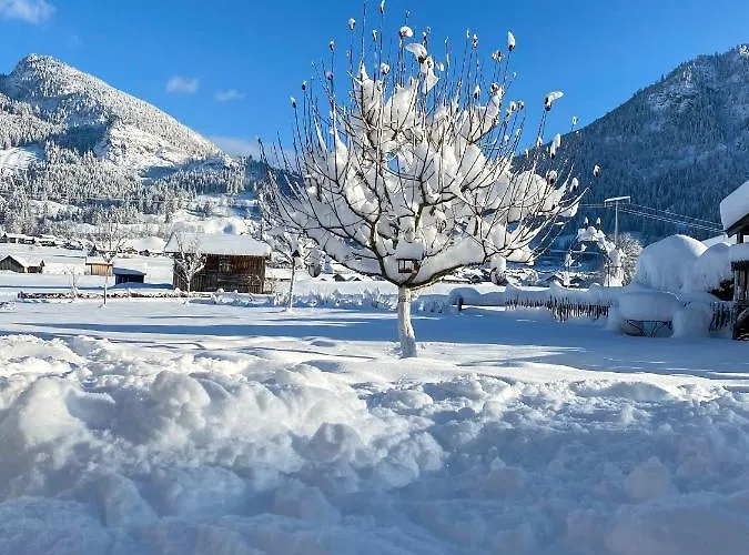 Lejlighed Haus Oyben Bad Hindelang