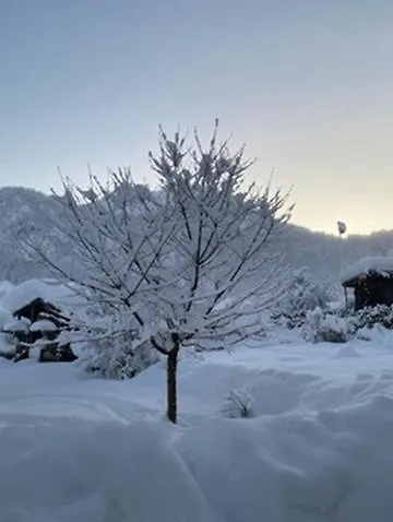 Haus Oyben Lejlighed *